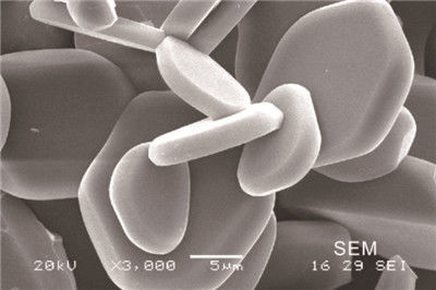 0,8g / Cm3 Gốm sứ nhôm oxit trắng Mài tấm gốm Alumina